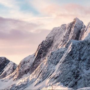 Meet your Posher, Gracie